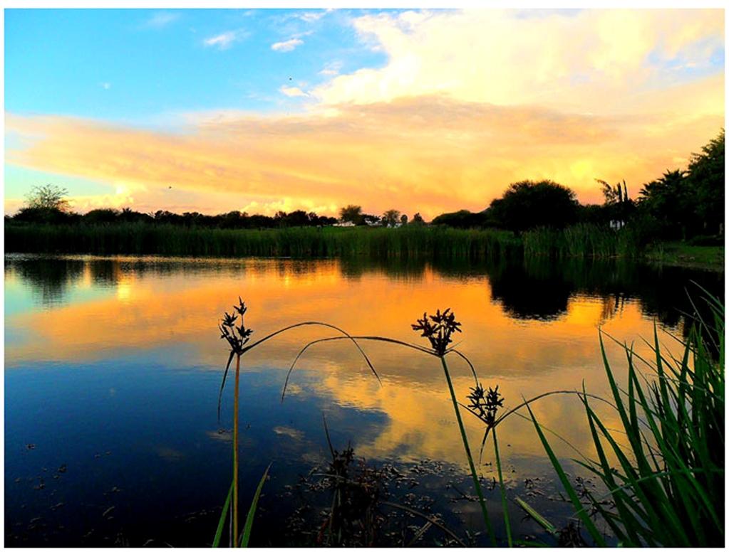 Phakalane Golf Estate Hotel Resort Gaborone Facilități foto